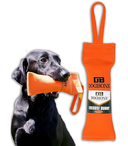 Amazon.co.jp: DogBone キジの香り 鳥の訓練に : ペット用品
