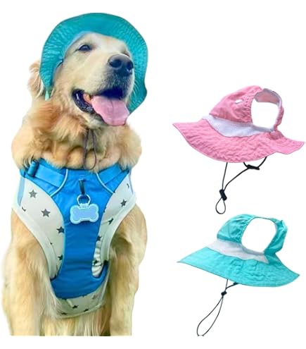 Dog Hats For Large Dogs Dog Baseball Cap Hat, Size S, Blue, Sun