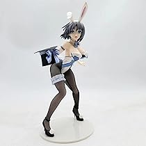 Amazon.co.jp: Briskyjp プレミアムバージョン 閃乱カグラ 忍者 