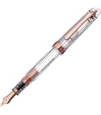 Amazon | プラチナ万年筆 万年筆 #3776センチュリー ニース ロゼ 細字