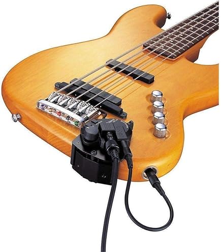 Amazon.co.jp: Roland GR-55GK ギターシンセサイザー GK-3ピックアップ
