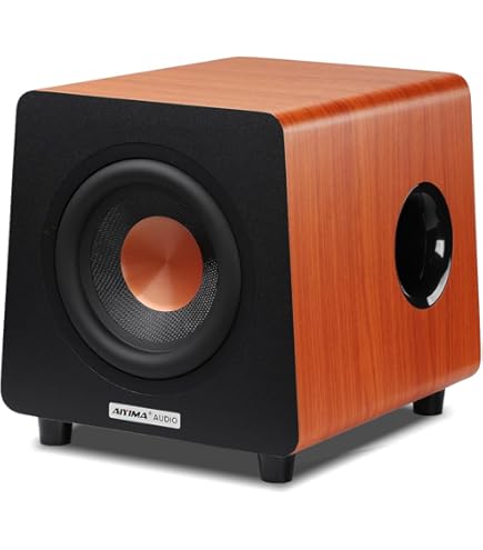 Amazon.co.jp: パイオニア シリーズ3 パワードサブウーファー S-51W 
