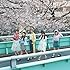 桜色ダイアリー(通常盤)