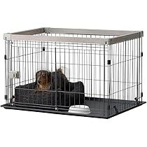 61L1ZDALIiL._AC_UL210_SR210,