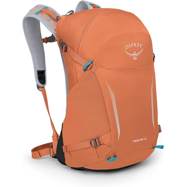 【シジ様　オスプレイ　HIKELITE18 リュック バックパック 楽天市場】Osprey オスプレー HIKELITE 18 バックパック