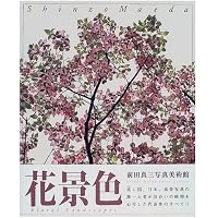前田真三写真美術館 6 | 前田 真三 |本 | 通販 | Amazon