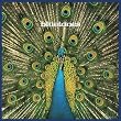 EXPECTING TO FLY - 20TH ANNIVERSARY EDITION