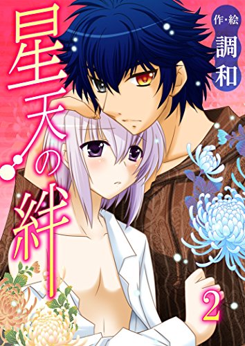 『星天の絆』