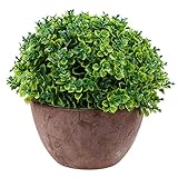 Lovoski 　人工観葉植物　幸運草　盆栽　鉢植え　庭　部屋　ホテル　会社　学校　装飾　全４色 - 緑