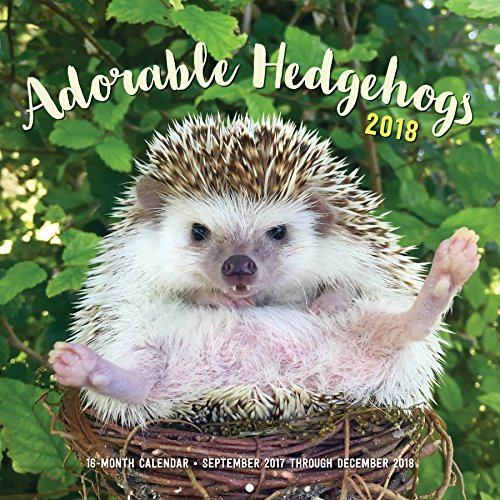 Adorable Hedgehogs 2018: 16-Month Calendar September 2017 through December 2018 (Calendars 2018) Adorable Hedgehogs 2018: 16-Month Calendar September 2017 through December 2018 (Calendars 2018)