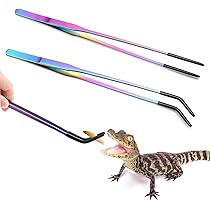 爬虫類・両生類のエサ SM70 Amazon | MUYYIKA 爬虫類 えさ皿 餌入れ 食器 水飲み場にも 飼育