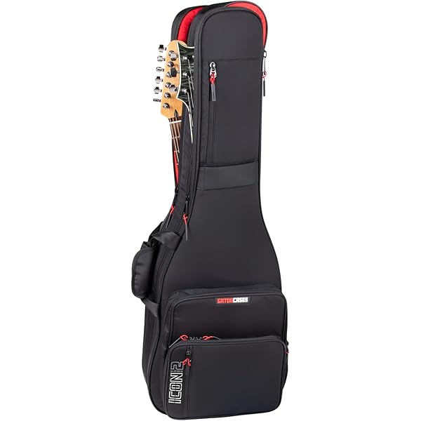 Amazon.co.jp: RITTER RGB4‑DE ANT BERN Double Electric Guitar