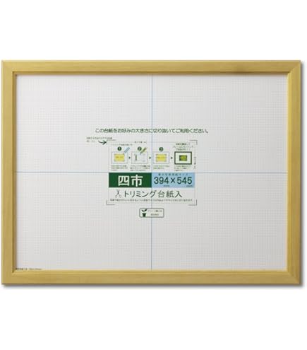 Amazon.co.jp: 賞状額縁 金消し 四市(545×394mm) 前面UVカットアクリル