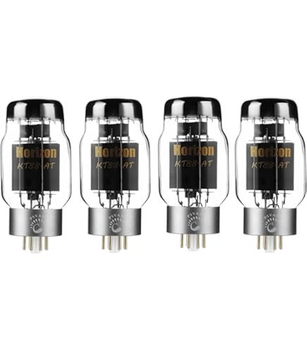 Amazon.co.jp: PSVANE ホライズンシリーズ KT88-AT 真空管アンプ