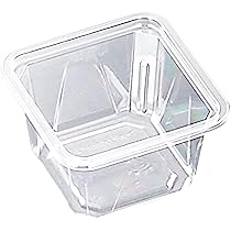 日本タッパーウェア（株）四角形の保存容器蓋付き2個新品 楽天市場】【エントリーでP10倍◇10/1〆】フタ付ステンレス製角