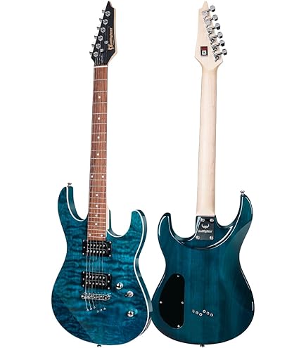 Amazon | 【Sylpheed】 ストラトキャスタータイプ エレキギター ローズ