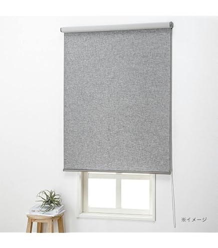 Amazon.co.jp: カインズ(CAINZ) スリムロールスクリーン ブラック 横