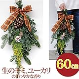 クリスマススワッグ 玄関 手作り 生 [カントリースワッグ]50cm （玄関 玄