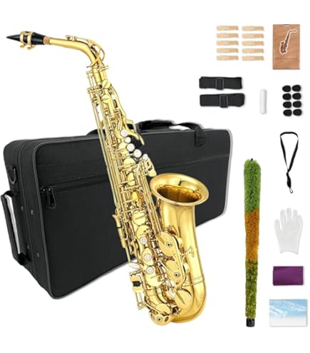 【美品】【ネビュラ】アンティグア　ネビュラ　パワーベル　アルトサックス　sax Amazon.co.jp: Antigua POWER BELL RSFL テナーサックス パワー