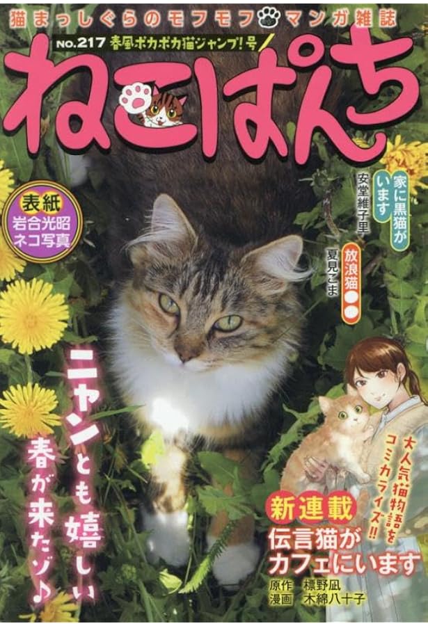 ねこぱんち ネコの目キラリ☆号 (にゃんCOMI) | アンソロジー |本