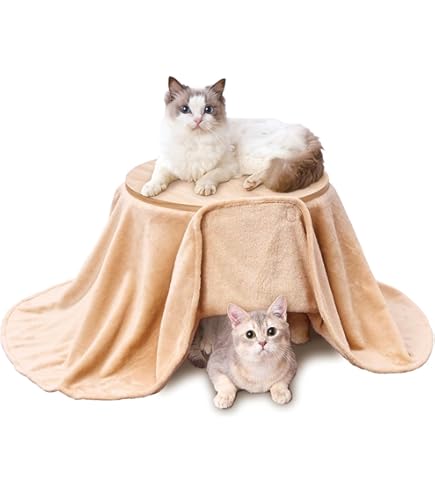 Amazon.co.jp: マルカン あったかヒーター猫鍋 カーペット付 CT