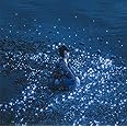 流星/約束