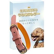 愛犬の首輪 61LIiNp57hL._AC_UL210_SR210,