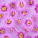 SUND　造花 ライラック　花のみ　ミニ　花ボール　50輪セット　ダブル　レース付き　DIY　手作り　デザイン　インテリア　雑貨　花部分のみ　シルクフラワー　可愛いカラバリ 高品質　造花　枯れない　結