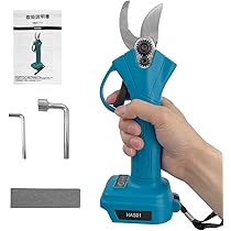 61LKNsdtRaL._AC_UL210_SR210,