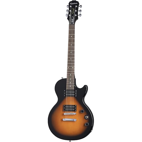 Amazon.co.jp: 940-ENLPCS Case for Epiphone Les Paul Standard