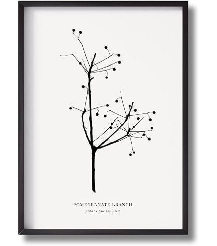 Amazon.co.jp: 【Coco Lapine Design／ココラパンデザイン】Ketos