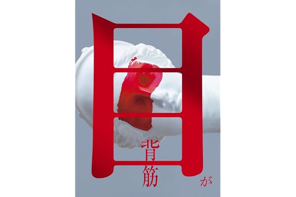 目が