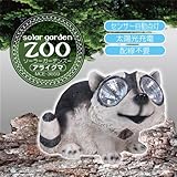 マクロス ソーラーガーデンズー アライグマ  MCE-3659