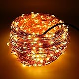 ER CHEN(TM) 165ft Led String Lights,500 Led Starry Lights on 50m Copper Wire String Lights + 12V DC 