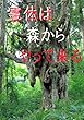 霊体は森からやって来る