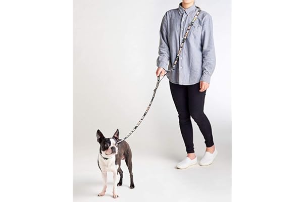 best dog leash amazon