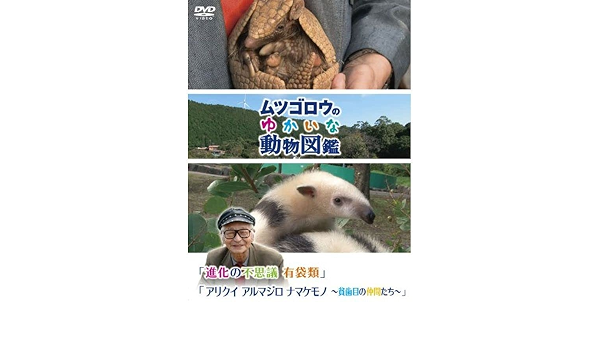ムツゴロウのゆかいな動物図鑑 シリーズ 進化の不思議 有袋類 アリクイ アルマジロ ナマケモノ 貧歯目の仲間たち Dvd Www Theivyspa Com