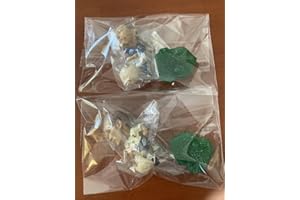 中田英寿 エポック社 サッカー 日本代表チーム バージョン5 トレーディングフィギュア 2種