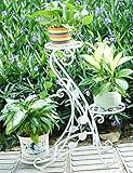 フラワースタンド アイビー スタンド ラック ワイド花支架花园机架 フラワーラック ヨーロッパスタイルの鉄の農村のフラワーラックSタイプのフロアタイプのリビングルーム屋内の花のポットフレームのバルコニ