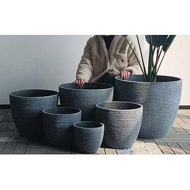 Amazon.co.jp 最新リリース: 鉢 の新着ランキングです。