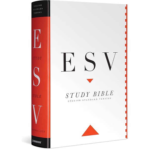 Amazon | Study Bible-ESV-Large Print | Crossway Bibles | Christianity