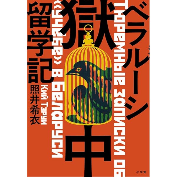 ウクライナ映画完全ガイド: ロシア帝国時代からマイダン革命以降の現代
