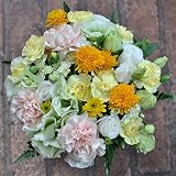 フローリストワタリ　【生花】カーネーションとトルコキキョウのブーケ(白・黄色系)　フラワーギフト　プレゼント 誕生日　発表会　お祝い