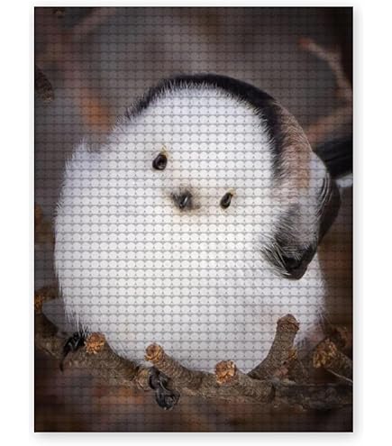 Amazon | シマエナガ 鳥柄 ダイヤモンドアート 5D ビーズアート