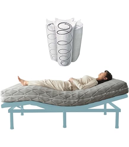 Amazon.co.jp: フランスベッド 電動リクライニングマットレス ルーパー