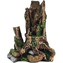 飾り根　流木根　飾り台共　オブジェ 水槽用レイアウト用品 流木 根」の人気商品一覧 | 安い商品を