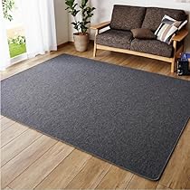 Amazon | 日本製 ホットカーペット 3畳 省エネ 6時間オフタイマー ダニ