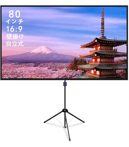 EPSON Mobile Screen（Xtype） ELPSC21B - その他
