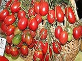 トマト種子ピンクレーズン有機栽培された家宝NON-GMO