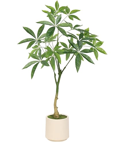 Amazon｜光触媒観葉植物 トネリコ1.8〔フロアタイプ〕 インテリア